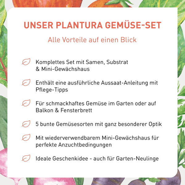 Vorteile des Plantura Gemüse-Anzuchtsets