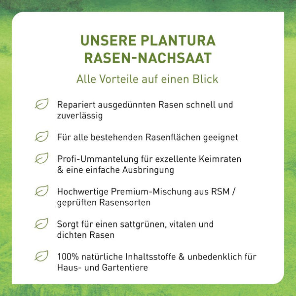 Vorteile der Rasen-Nachsaat von Plantura